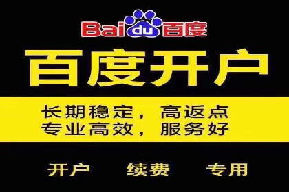 百度推广代运营公司助力企业快速占领市场